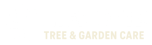 HighCutz-logo-white