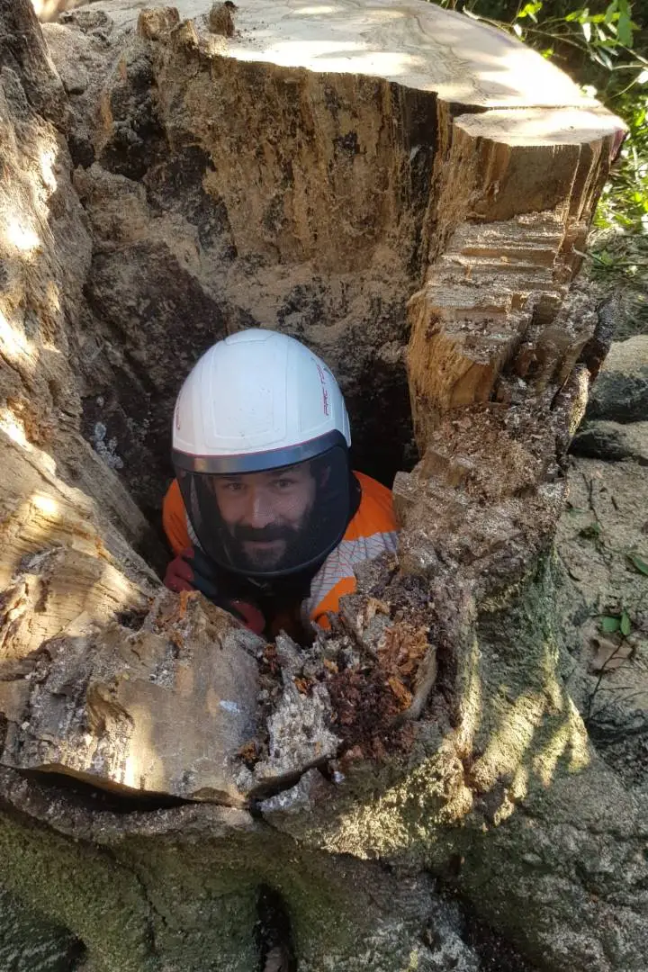 High Cutz Tree & Garden Care